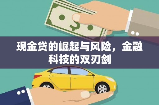 亭湖现金贷的崛起与风险，金融科技的双刃剑
