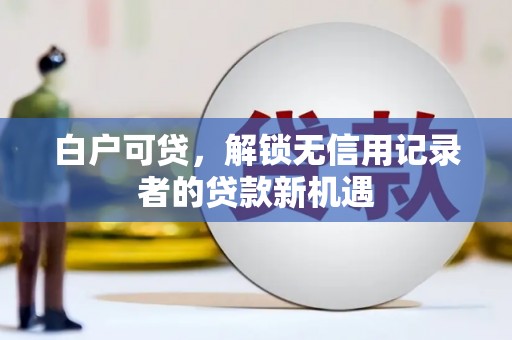 亭湖白户可贷，解锁无信用记录者的贷款新机遇
