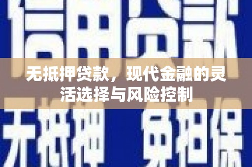 亭湖无抵押贷款，现代金融的灵活选择与风险控制