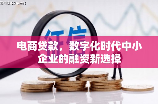 亭湖电商贷款，数字化时代中小企业的融资新选择