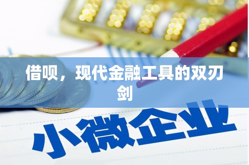 亭湖借呗，现代金融工具的双刃剑