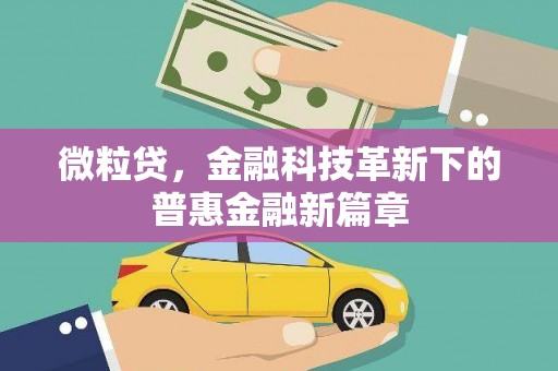 亭湖微粒贷，金融科技革新下的普惠金融新篇章