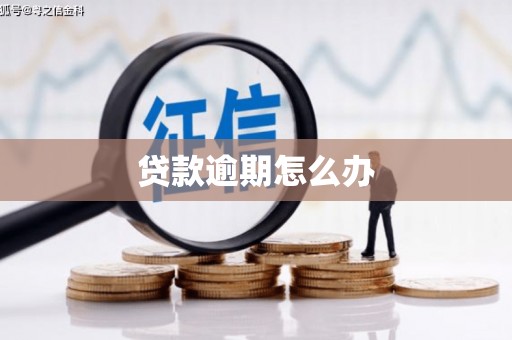 亭湖贷款逾期怎么办
