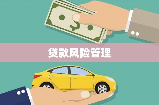 亭湖贷款风险管理