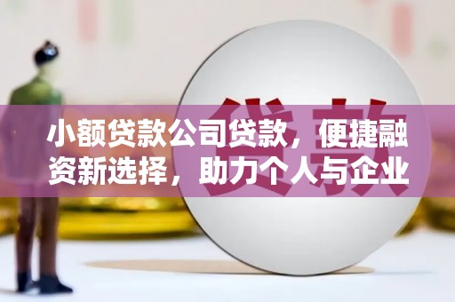 亭湖小额贷款公司贷款，便捷融资新选择，助力个人与企业成长