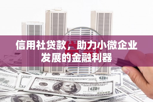 亭湖信用社贷款，助力小微企业发展的金融利器