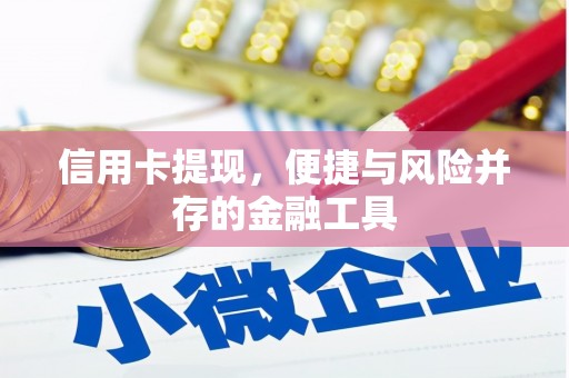 亭湖信用卡提现，便捷与风险并存的金融工具