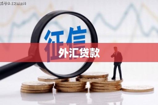 亭湖外汇贷款