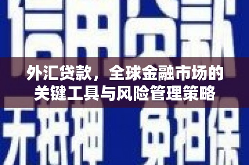 亭湖外汇贷款，全球金融市场的关键工具与风险管理策略