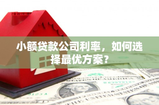 亭湖小额贷款公司利率，如何选择最优方案？