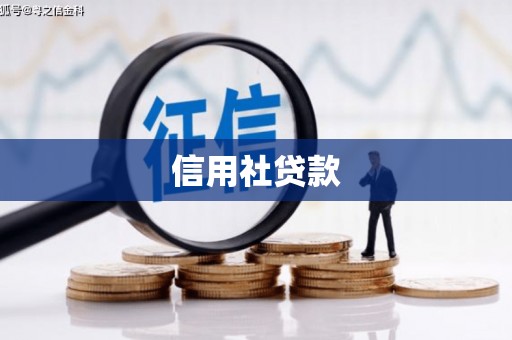 亭湖信用社贷款