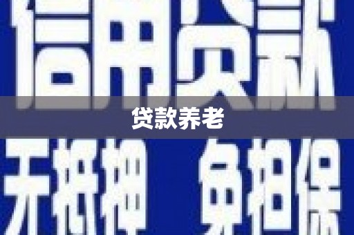 亭湖贷款养老