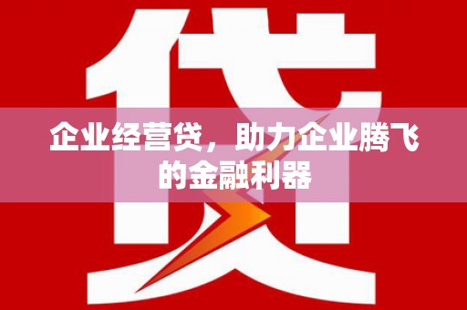 亭湖企业经营贷，助力企业腾飞的金融利器
