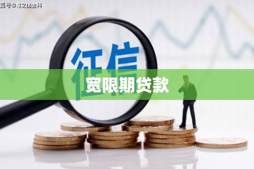 亭湖宽限期贷款