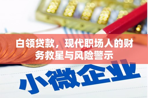 亭湖白领贷款，现代职场人的财务救星与风险警示