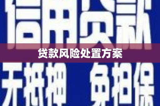 亭湖贷款风险处置方案