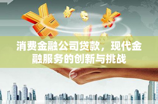 亭湖消费金融公司贷款，现代金融服务的创新与挑战