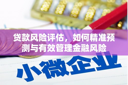 亭湖贷款风险评估，如何精准预测与有效管理金融风险