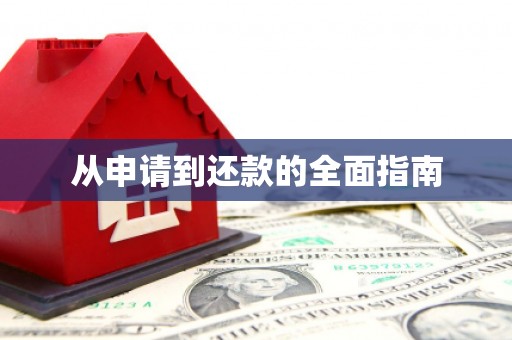 亭湖从申请到还款的全面指南
