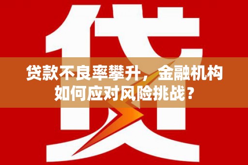 亭湖贷款不良率攀升，金融机构如何应对风险挑战？
