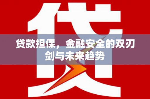 亭湖贷款担保，金融安全的双刃剑与未来趋势