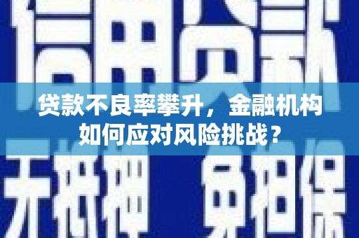 亭湖贷款不良率攀升，金融机构如何应对风险挑战？