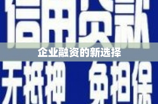 亭湖企业融资的新选择