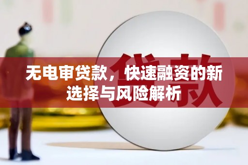 亭湖无电审贷款，快速融资的新选择与风险解析