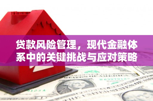 亭湖贷款风险管理，现代金融体系中的关键挑战与应对策略