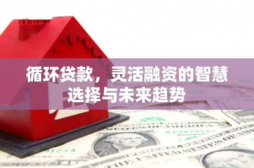 亭湖循环贷款，灵活融资的智慧选择与未来趋势