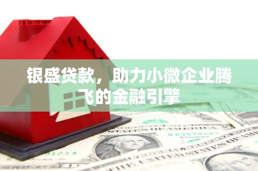 亭湖银盛贷款，助力小微企业腾飞的金融引擎