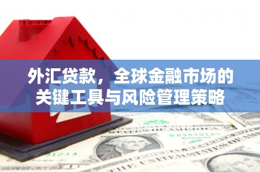 亭湖外汇贷款，全球金融市场的关键工具与风险管理策略
