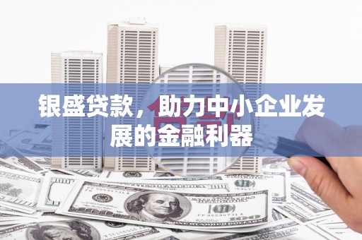 亭湖银盛贷款，助力中小企业发展的金融利器