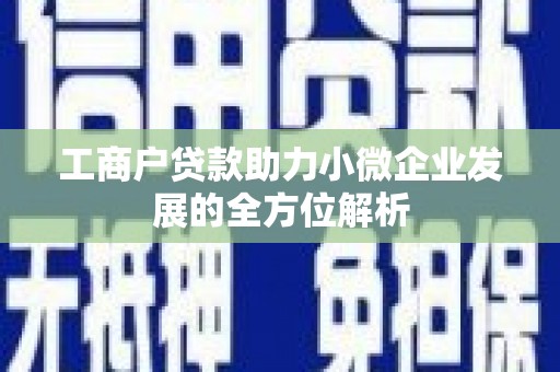 亭湖工商户贷款助力小微企业发展的全方位解析