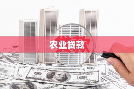 亭湖农业贷款