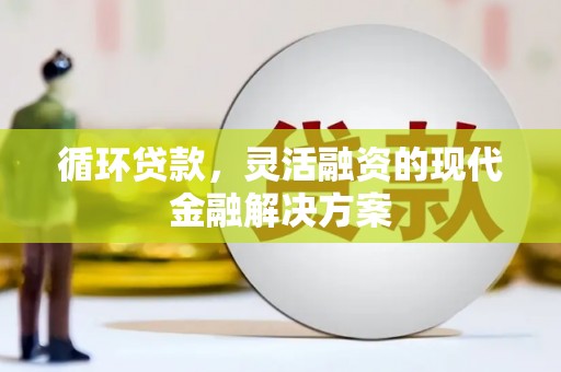 亭湖循环贷款，灵活融资的现代金融解决方案