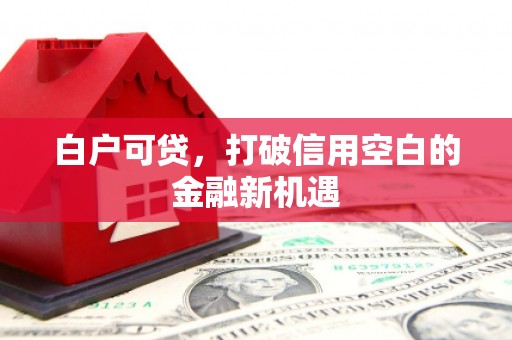 亭湖白户可贷，打破信用空白的金融新机遇