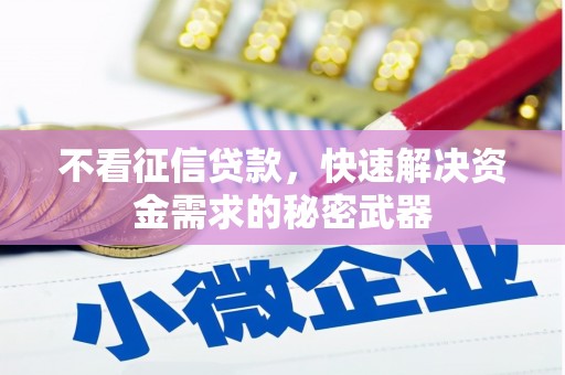 亭湖不看征信贷款，快速解决资金需求的秘密武器