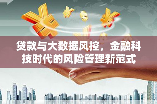 亭湖贷款与大数据风控，金融科技时代的风险管理新范式