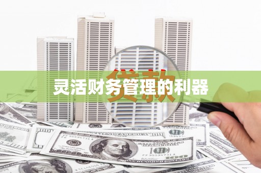 亭湖灵活财务管理的利器