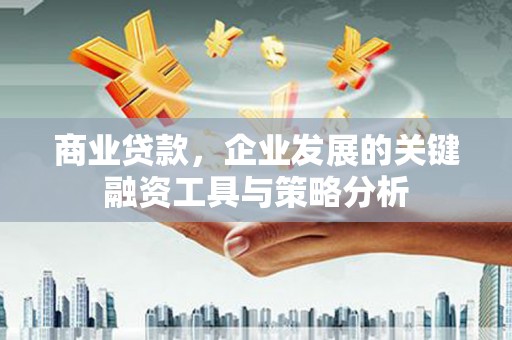 亭湖商业贷款，企业发展的关键融资工具与策略分析
