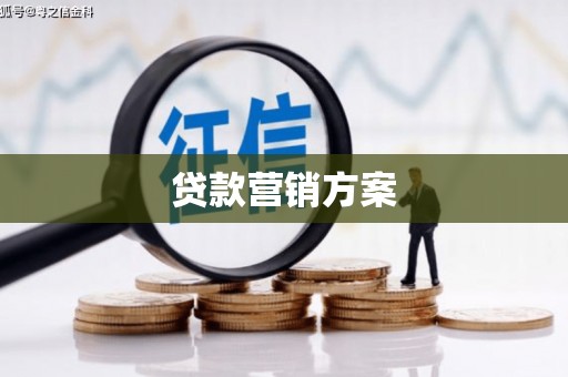 亭湖贷款营销方案