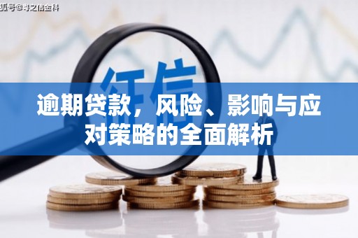 亭湖逾期贷款，风险、影响与应对策略的全面解析