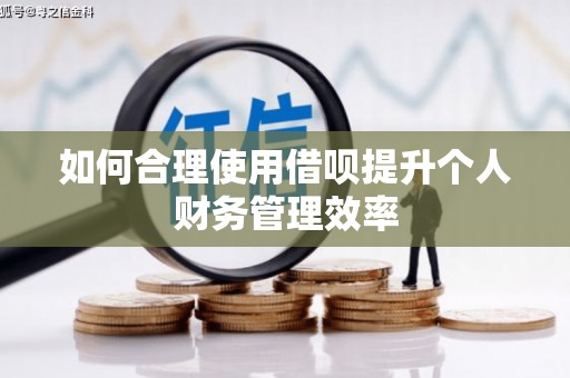 亭湖如何合理使用借呗提升个人财务管理效率