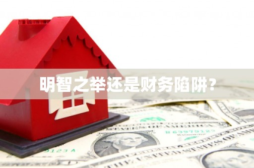 亭湖明智之举还是财务陷阱？