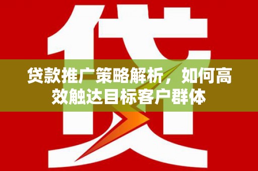 亭湖贷款推广策略解析，如何高效触达目标客户群体