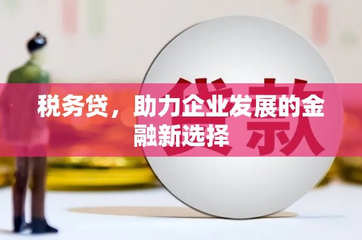 亭湖税务贷，助力企业发展的金融新选择