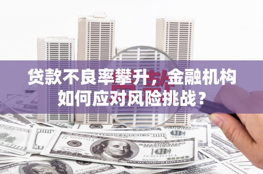 亭湖贷款不良率攀升，金融机构如何应对风险挑战？