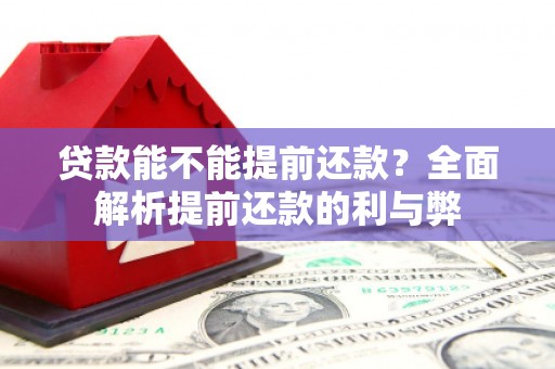 亭湖贷款能不能提前还款？全面解析提前还款的利与弊