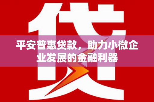亭湖平安普惠贷款，助力小微企业发展的金融利器
